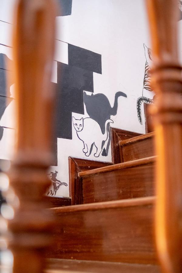 מינדלו Simabo'S Backpackers' Hostel מראה חיצוני תמונה